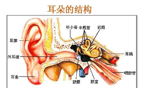 人体工厂听觉中枢通关技巧是什么？  第1张